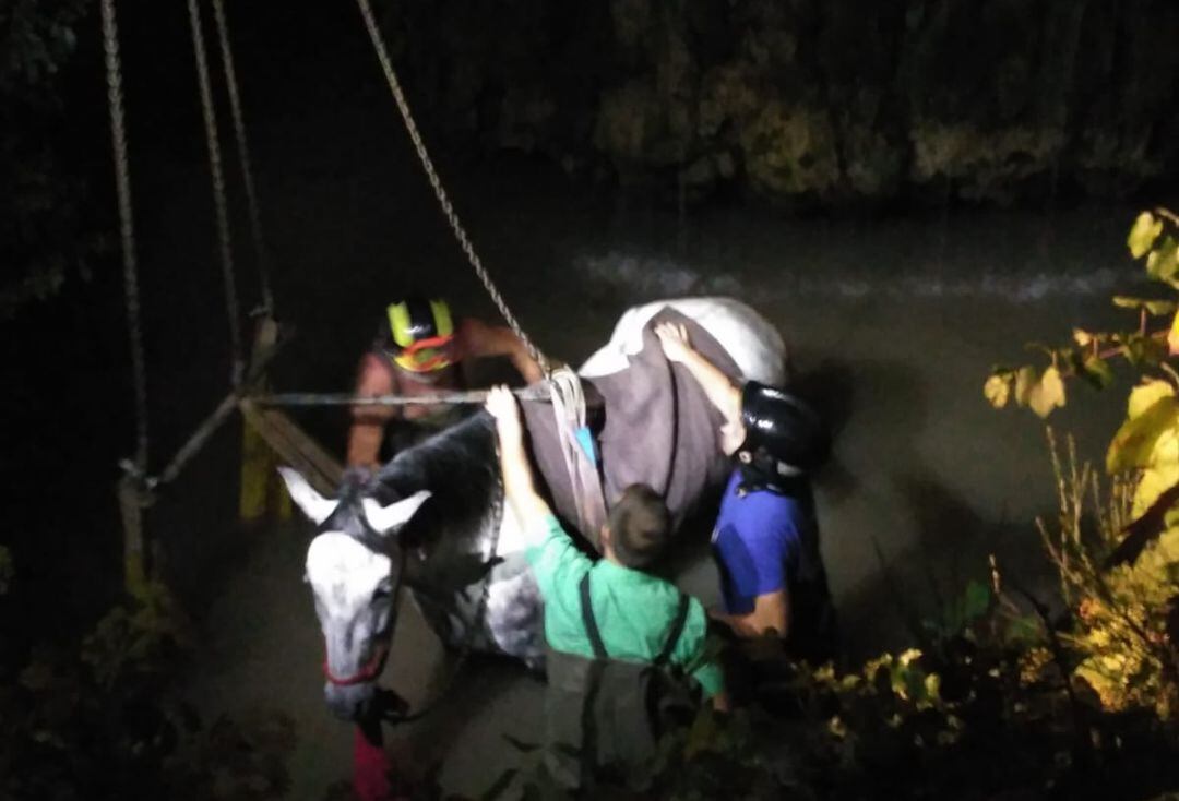 Rescate del caballo caído en un pozo de Ayora