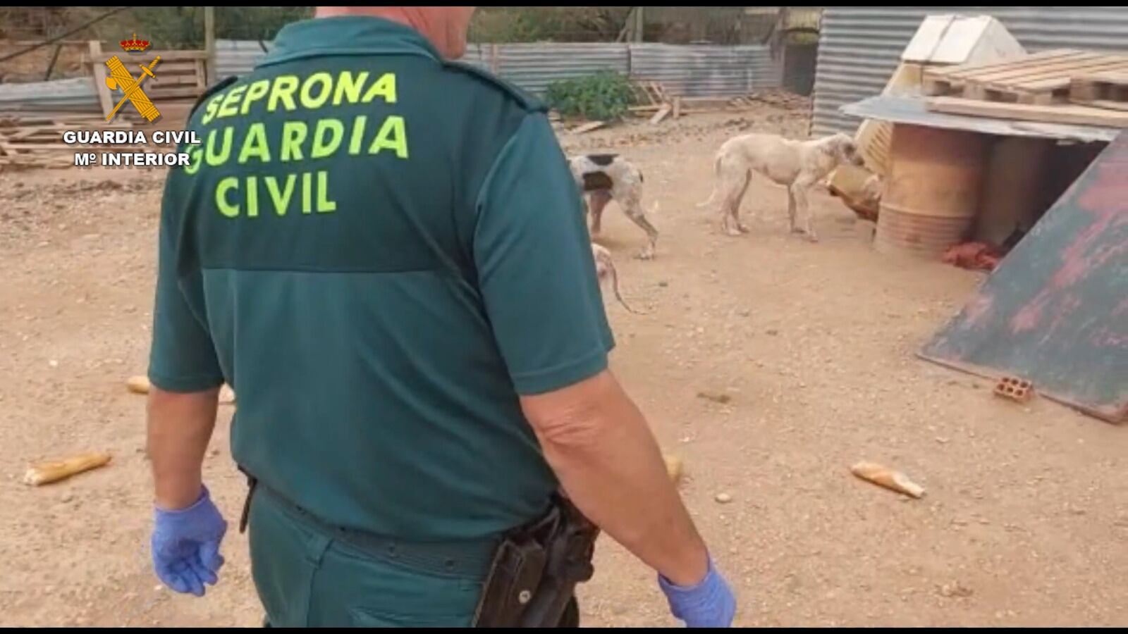 Imagen cedida por la Guardia Civil