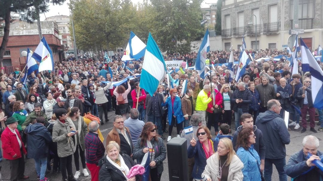 Manifestación organizada por la Mesa por Talavera