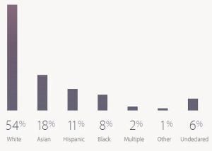 La plantilla de Apple en EEUU: blancos (54%), asiáticos (18%), hispanos (11%), negros (8%), mestizos (2%), otros (1%) y no declarados (6%). Datos 2015.