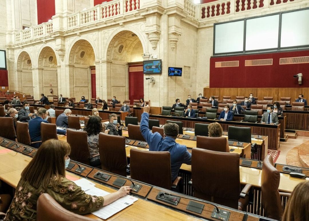 El pleno de la cámara vota la proposición de Ley de Adelante Andalucía sobre bioclimatización de los colegios