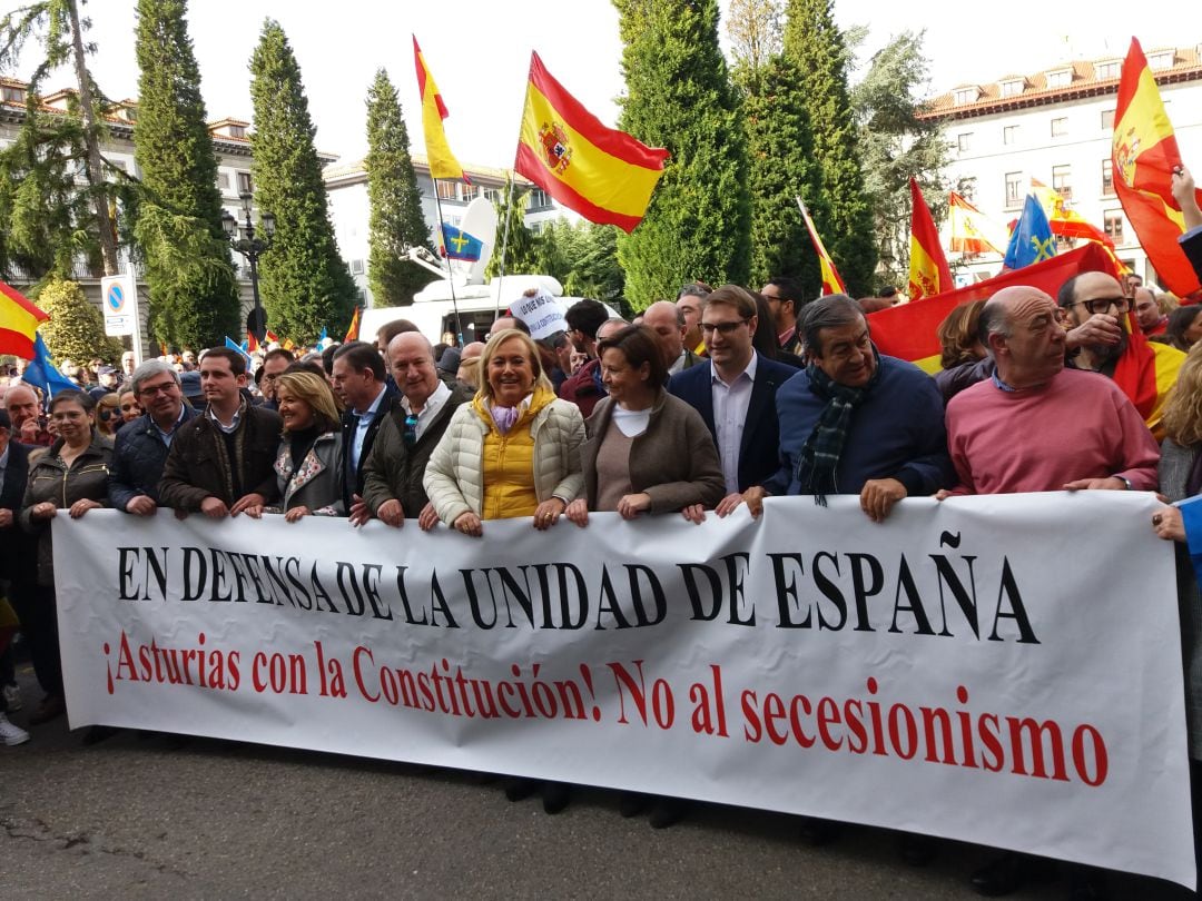 Dirigentes del Partido Popular y de Foro Asturias participando en la manifestación por la unidad de España celebrada en Oviedo
