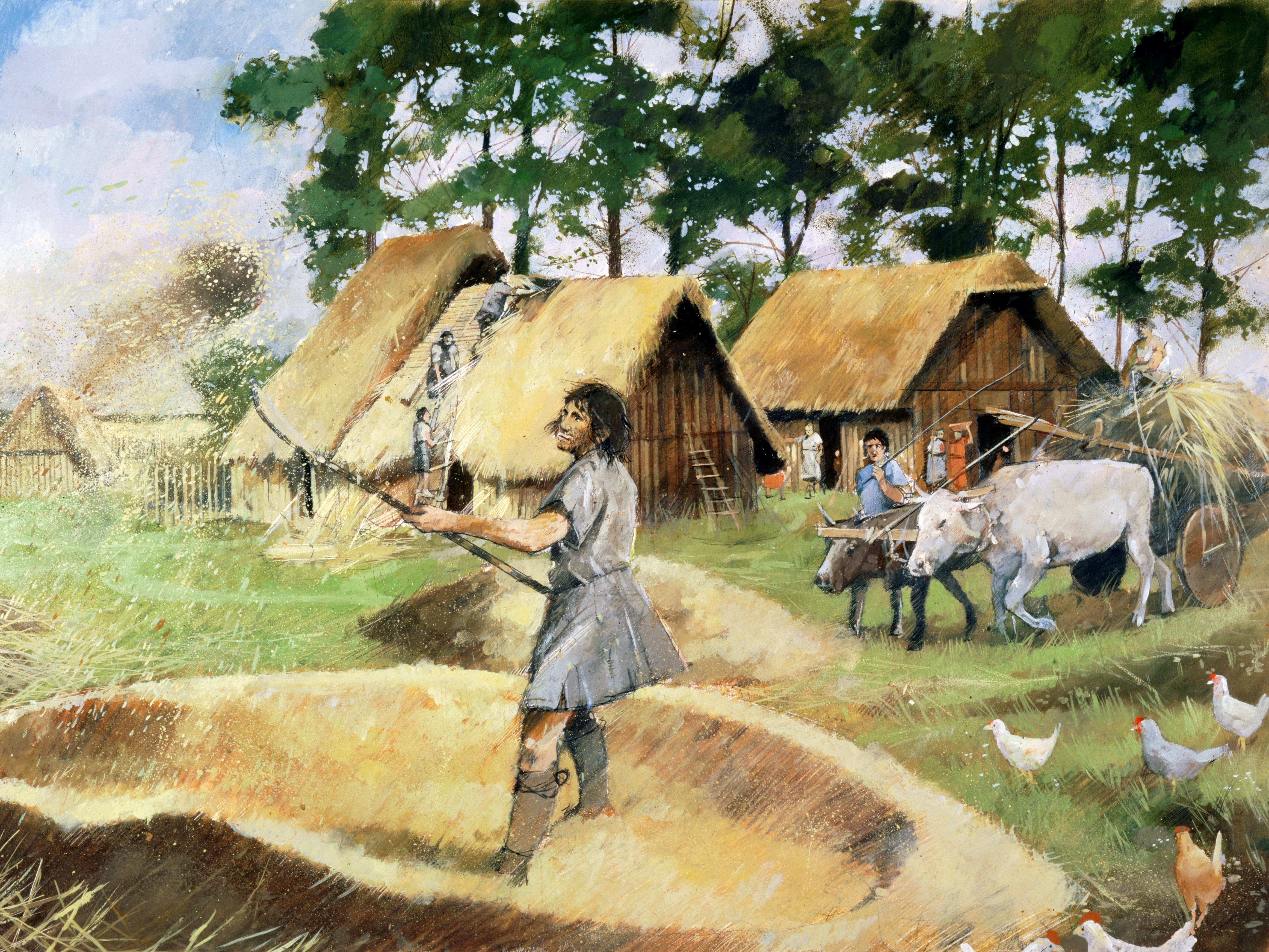 Roman farming, c3rd century, (Ivan lapper, 1990-2010)