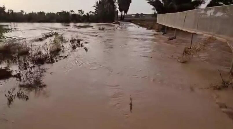 Vox lleva a los tribunales los vertidos a la dársena del puerto de Lo Pagán