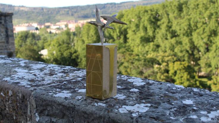 Entrevista con Juantxo Remón, presidente de ANADI (05/07/2021)