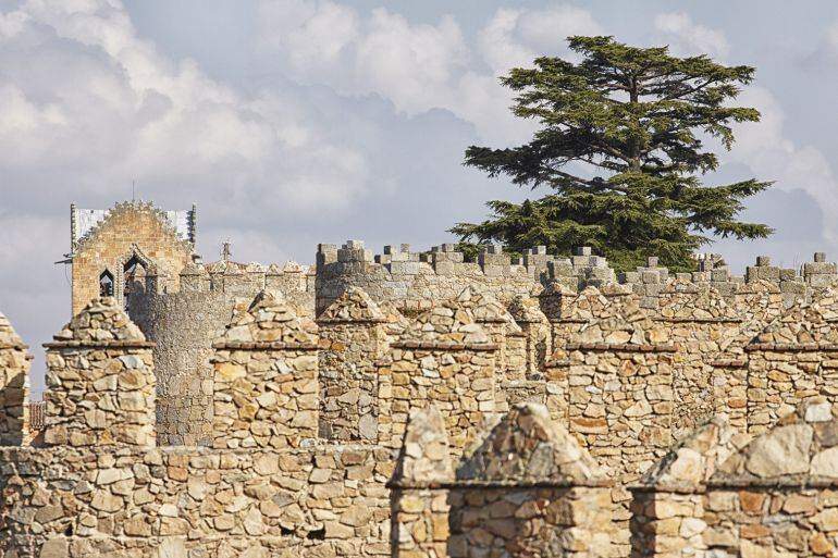 Detalle de la muralla de Ávila