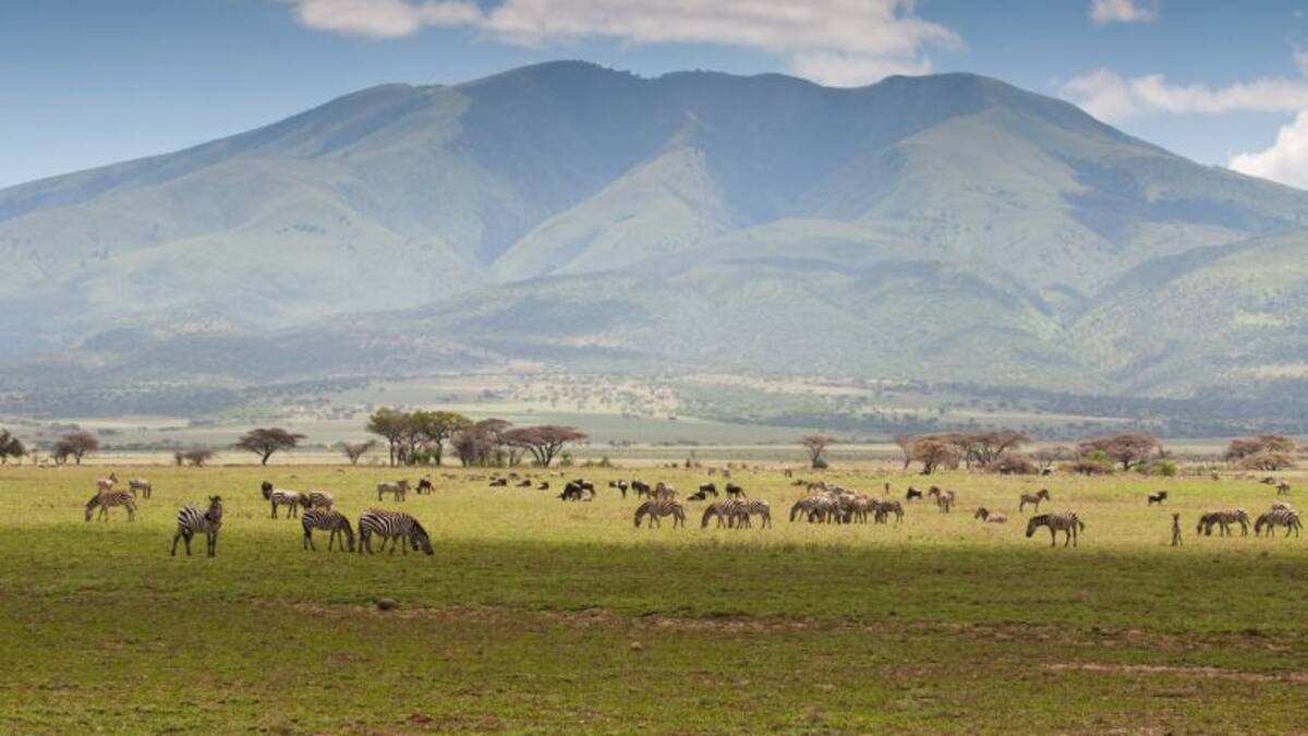 Instalaran el VAR en lel Serengeti