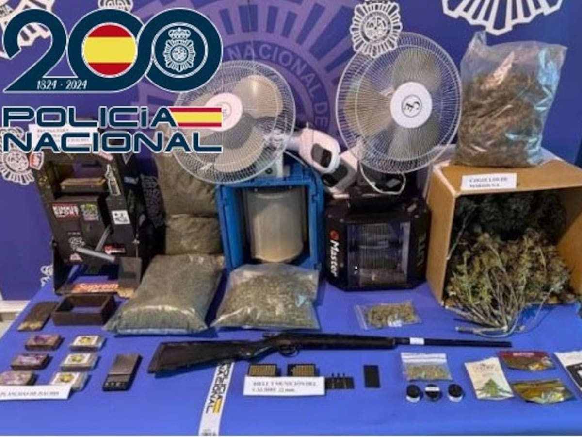 Detenido en Ponferrada por cultivar marihuana en una nave, tenencia ilícita de armas y puentear el suministro eléctrico