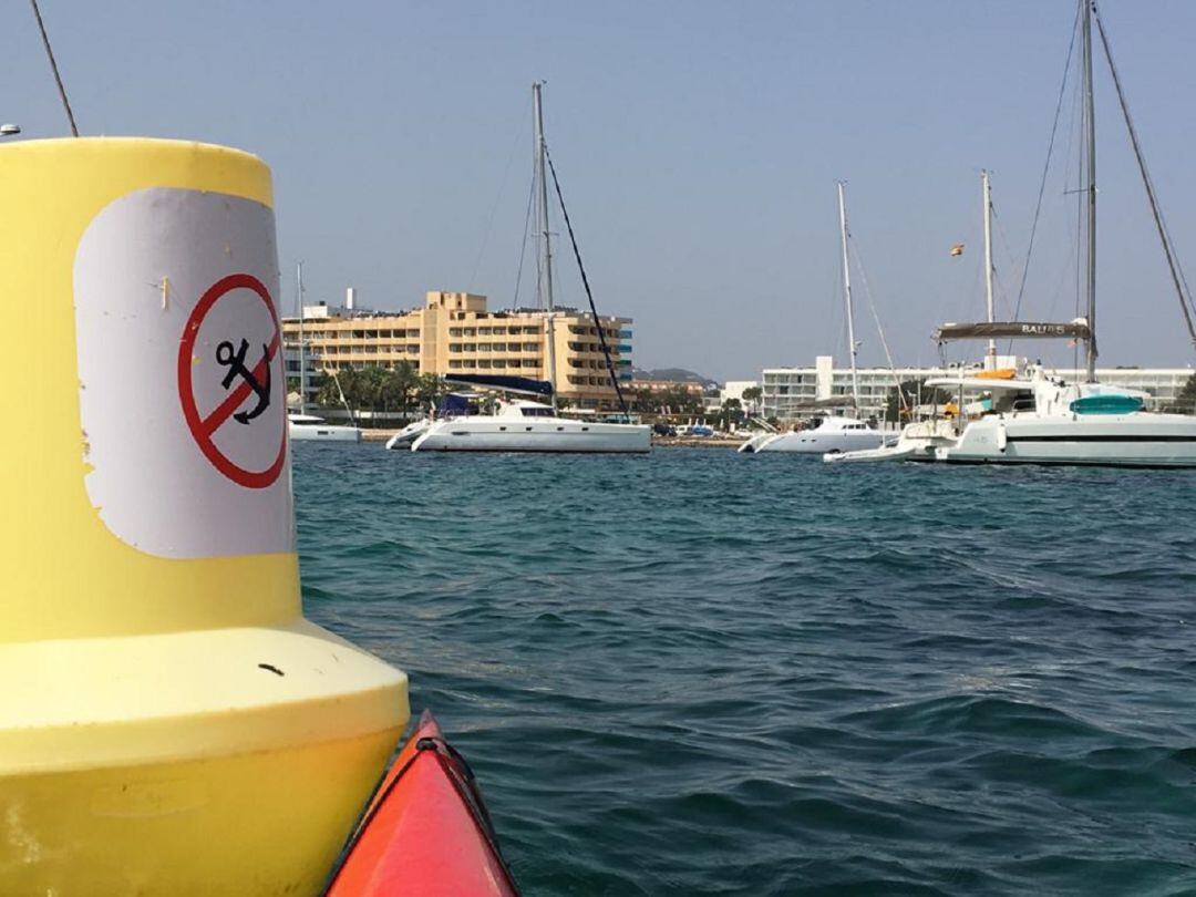 Imagen de barcos fondeados en la costa de Sant Antoni