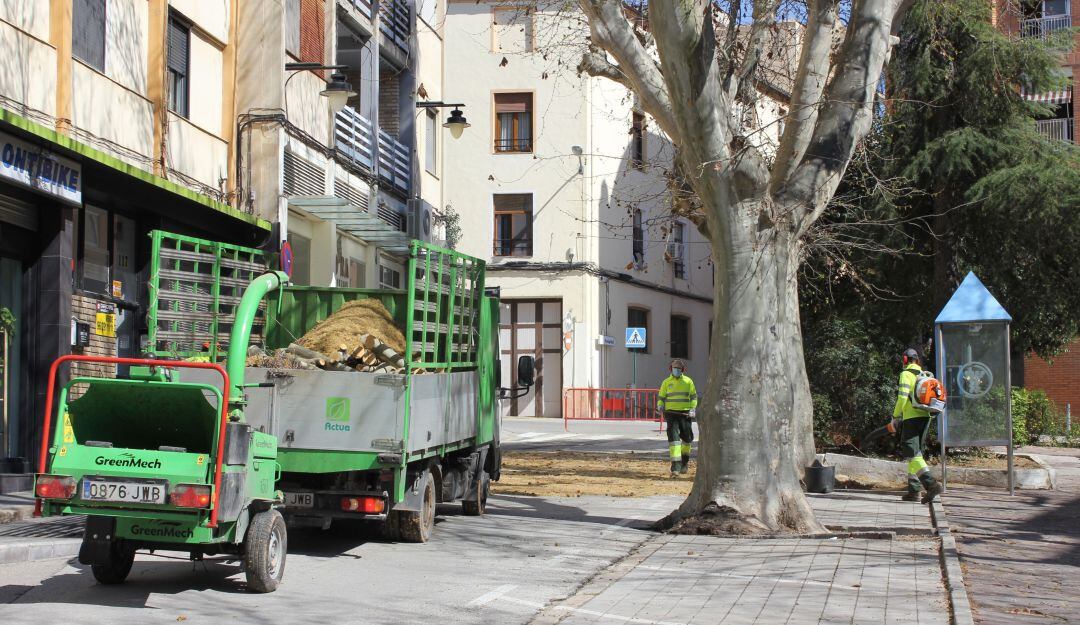 Treballs de poda a la zona