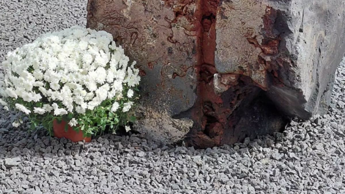 Hallan una cruz petrificada de principios del siglo XX en el cementerio arrasado por el volcán