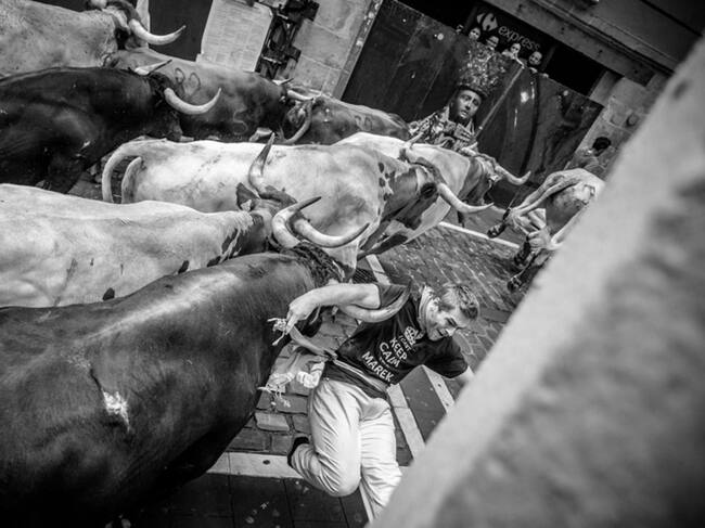 Foto tomada en la curva de Mercaderes durante los encierros de San Fermín de 2019 y ganadora del X Concurso Internacional de Fotografía para profesionales acreditados por el Ayuntamiento de Pamplona.