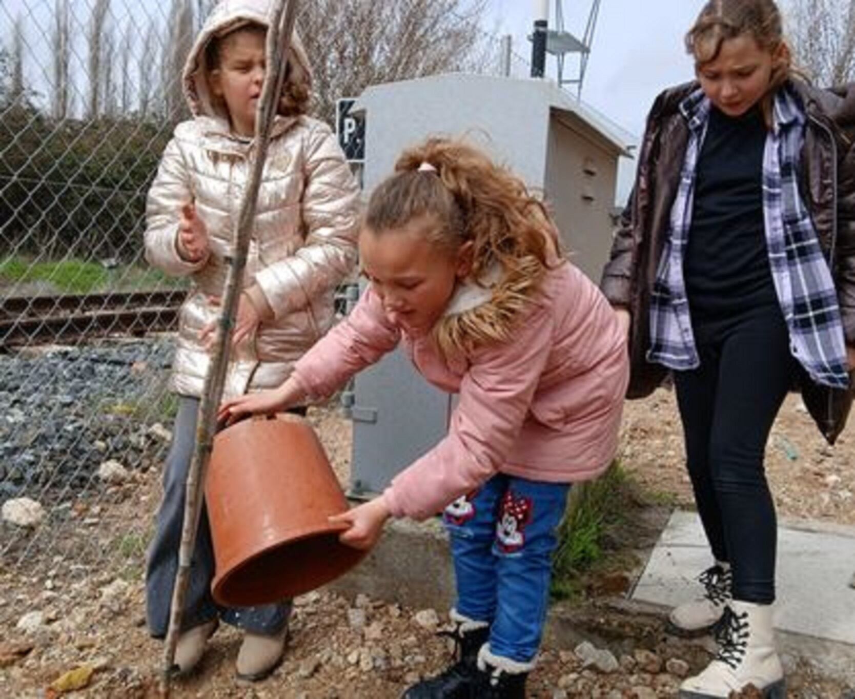 Los niños volverán a replantar este 29 de marzo.