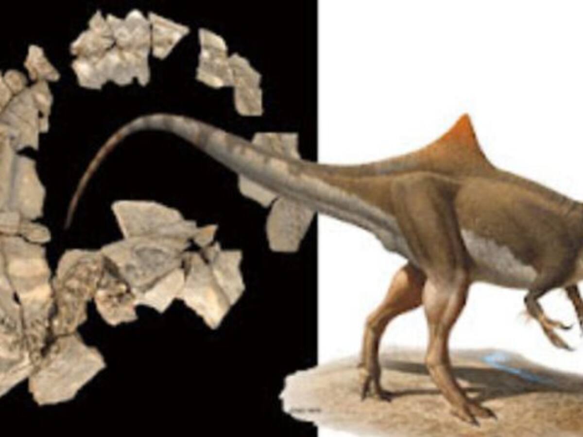 Tras las huellas de ‘Pepito’