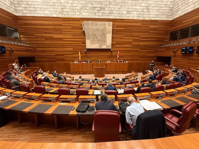 Imagen de archivo. Hemiciclo de las Cortes de Castilla y León durante una sesión plenaria