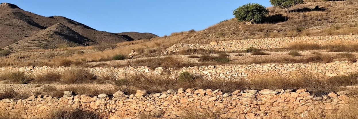 Jornadas de Piedra Seca