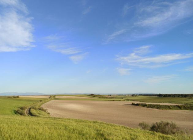 Castilla, tierra agraria y de bellos parajes