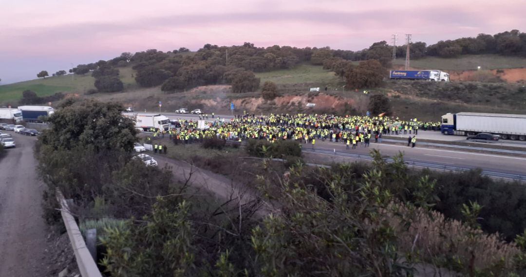 Olivareros cortan la A-4 a la altura de La Carolina este martes 25 de febrero.