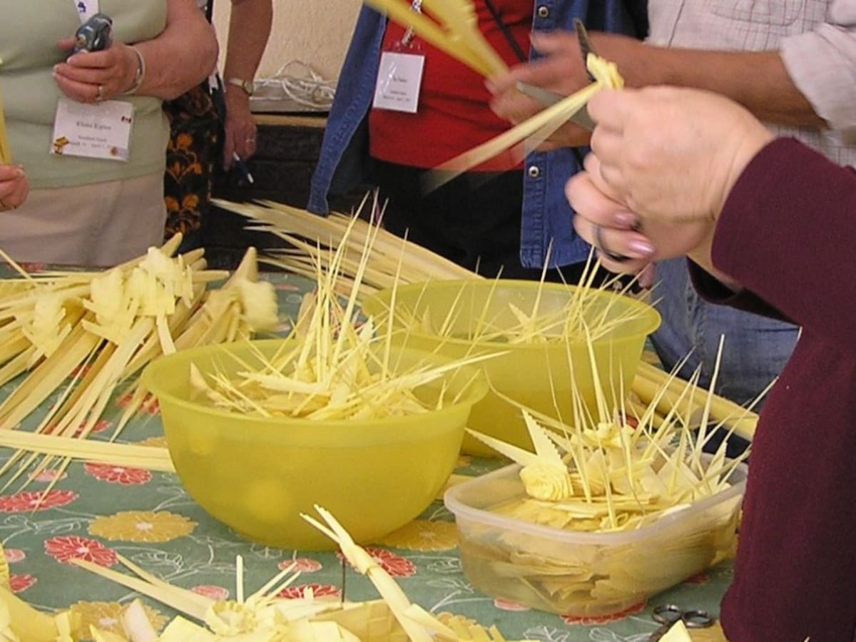 Talleres para iniciarse y perfeccionar la artesanía de la Palma Blanca de Elche