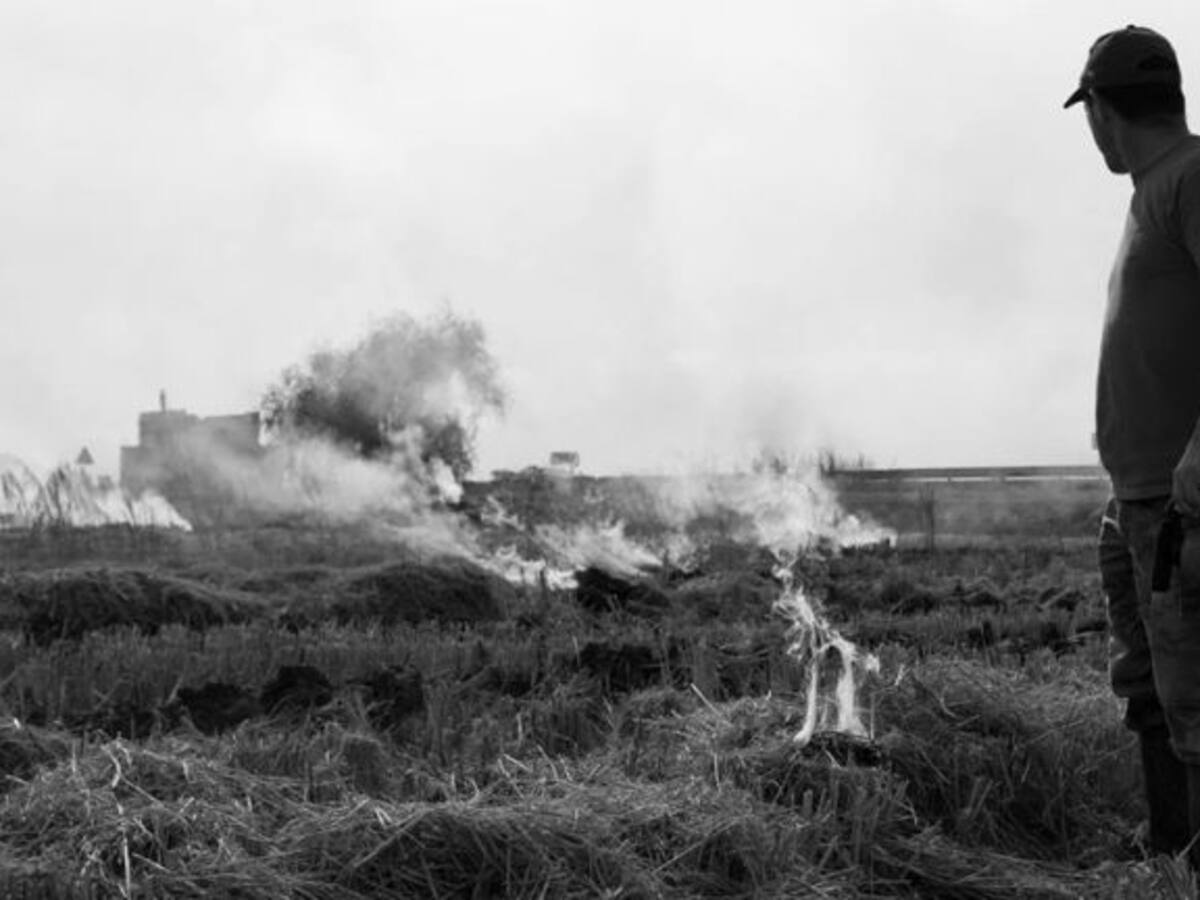 La solució en mans d'estudiants de Batxillerat?