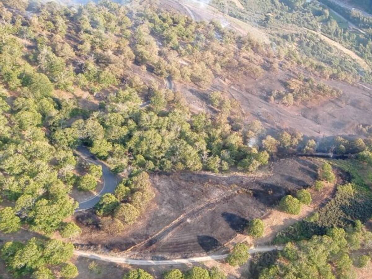 El incendio de Trabadelo acaba con 39 hectáreas de terreno
