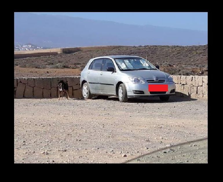 La imagen de un perro atado a un coche en La Tejita revoluciona la redes