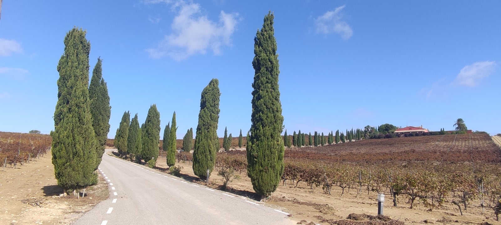 El Paseíto, con Agustín García Lázaro. Pago de Corchuelo, Jerez