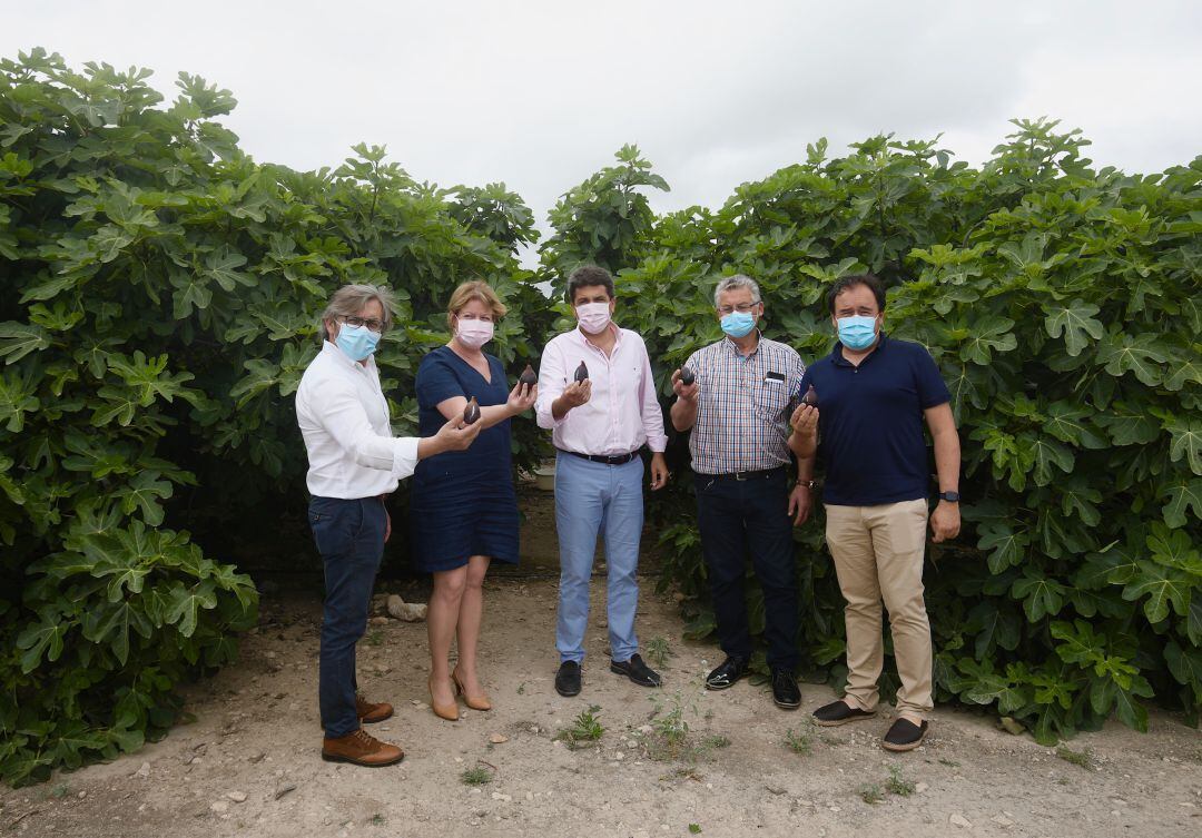 El presidente Mazón (c) en la presentación de la campaña de la breva.