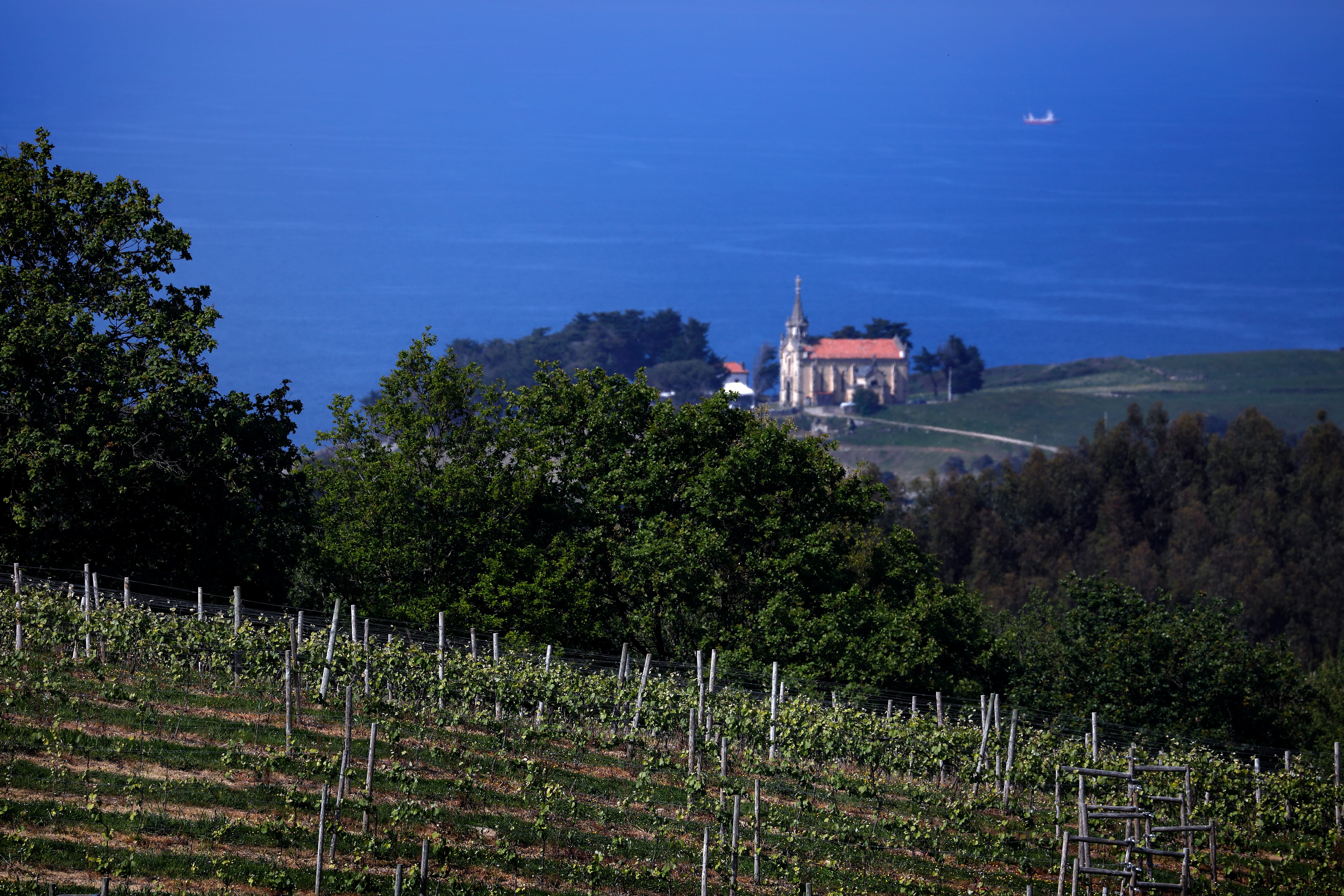 Viñedos de Miradorio y la ermita del Remedio