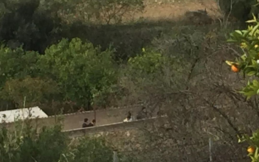 El crimen tuvo lugar en el camino de Ca Na Verda, en el Secar de la Real.