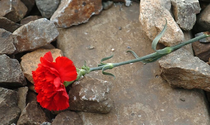 Un clavel en la estación de cercanías de Santa Eugenia en recuerdo de las víctimas en el décimo aniversario de los atentados del 11-M