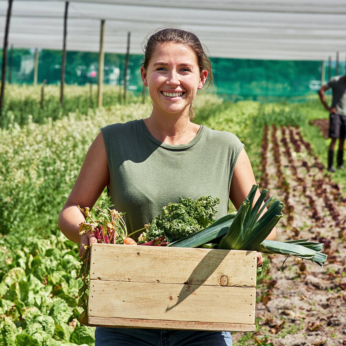Responsables de Rumanía, Irlanda, Italia y España, del proyecto Erasmus+ AGRI&TOUR se reúnen en Jaén para impulsar el agroturismo