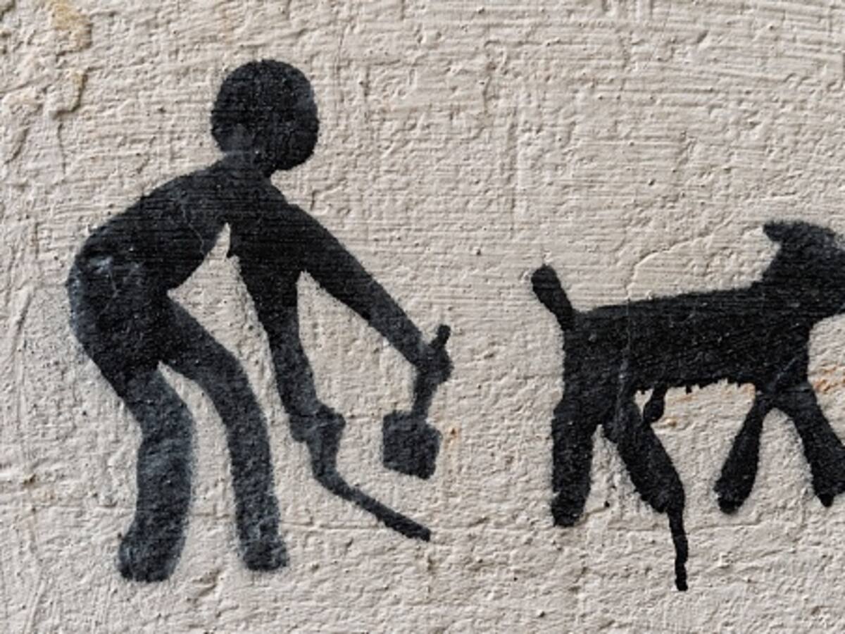 Cómo mandar a la mierda de forma educada