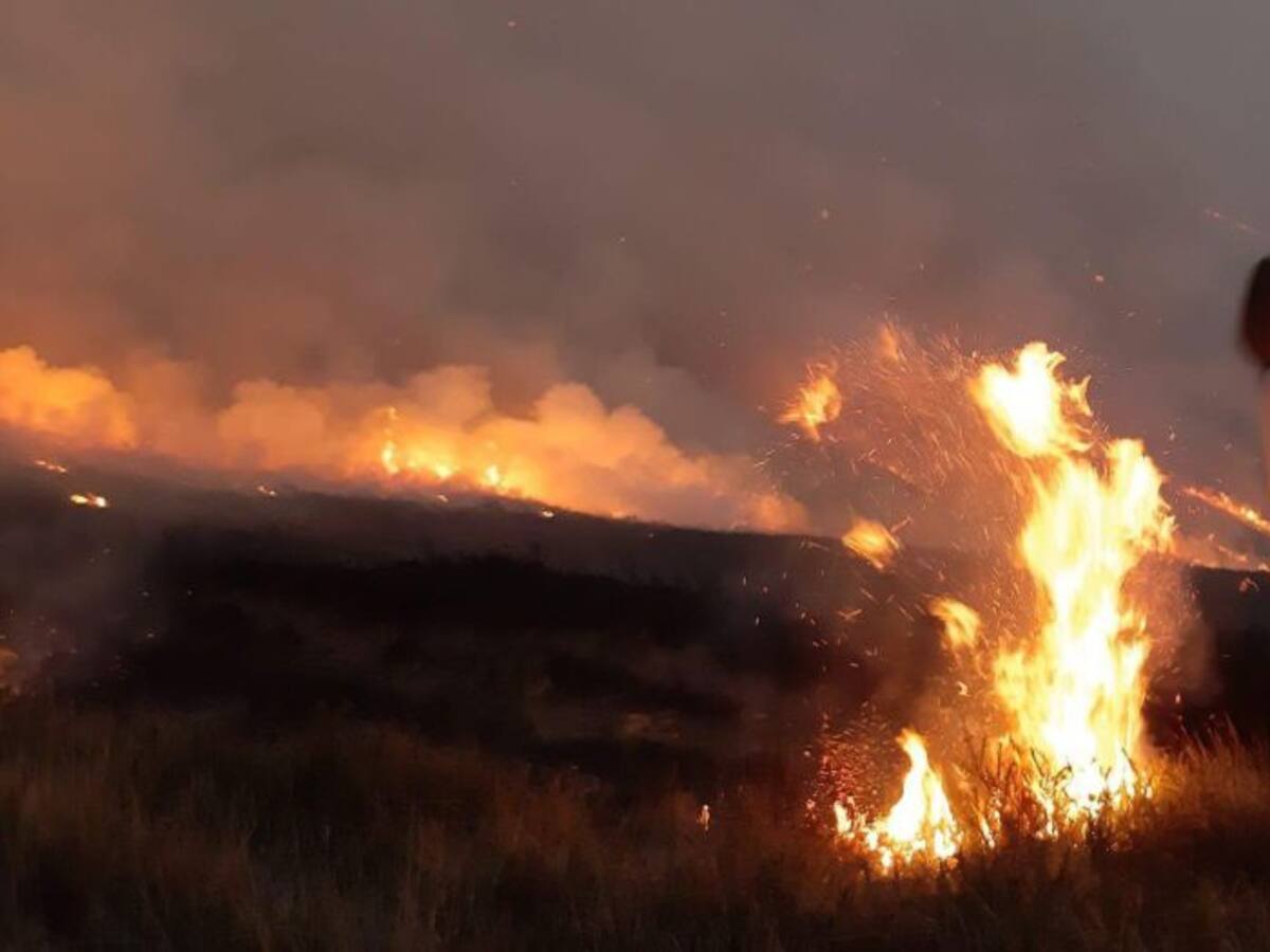 La Guardia Civil de Cantabria investiga a dos hombres como presuntos autores de un delito de incendio forestal en Carasa