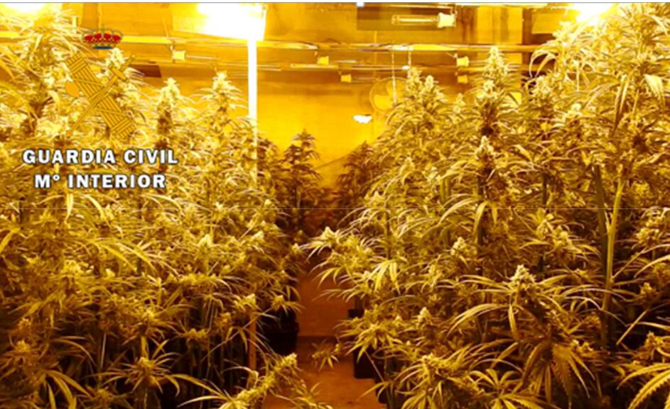 La operación de la Guardia Civil se ha saldado con dos detenidos