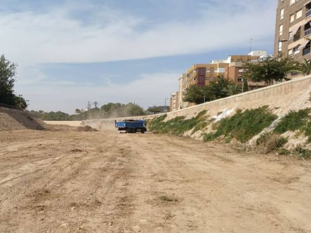 Entrevista Nuria Vergara, jefa de salubridad pública de Cartagea