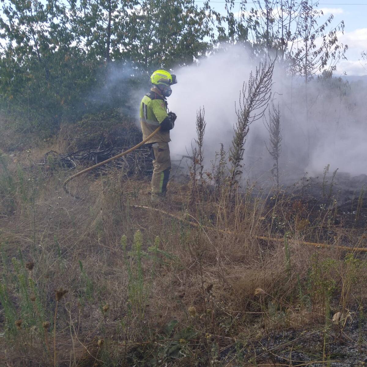 Bomberos y brigadas extinguen un incendio que arrasó 10 hectáreas de cultivos abandonados en La Placa