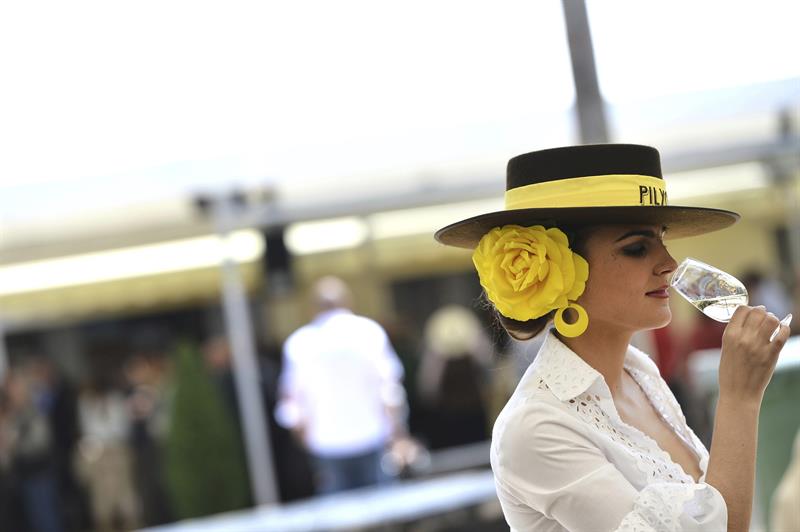 Cata del vino Montilla Moriles