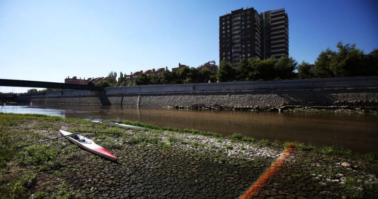 Un remo en la orilla del Río Manzanares