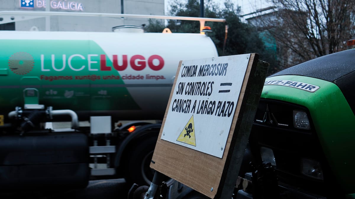 González Laxe: "Si realmente consumiéramos nuestro producto, Mercosur no generaría miedo"