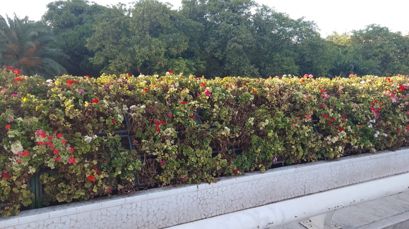 Aspecto de uno de los laterales del Puente de las Flores