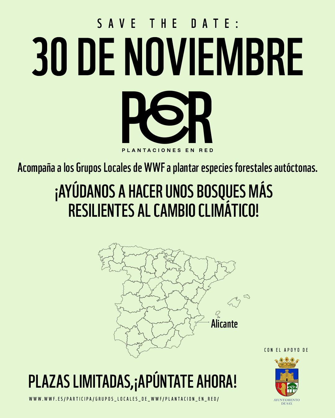 Cartel de la actividad