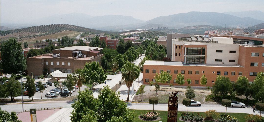 La Universidad de Jaén ha habilitado nuevas sedes para las oposiciones.