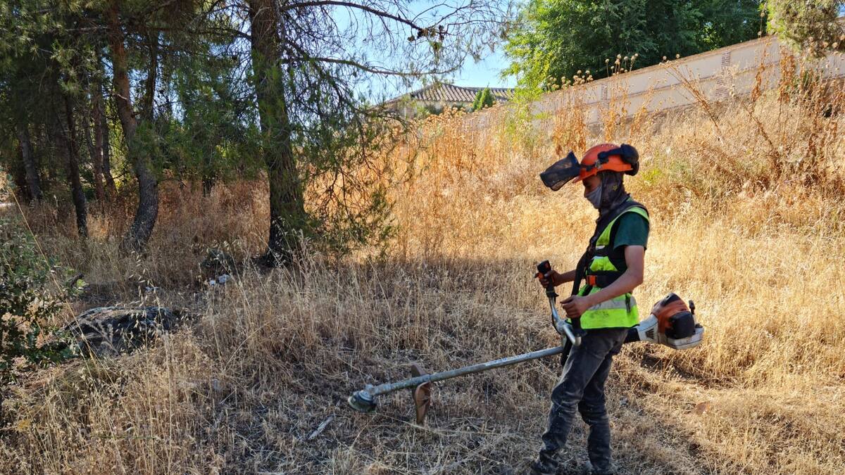 Toledo adelantará los trabajos de desbroce ante las últimas lluvias: se avecina un crecimiento descontrolado