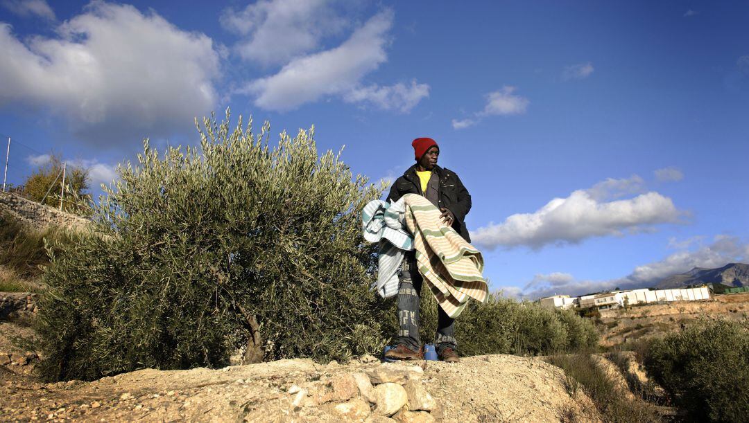 CGT denuncia la situación que viven muchos inmigrantes en los tajos de aceituna de Jaén