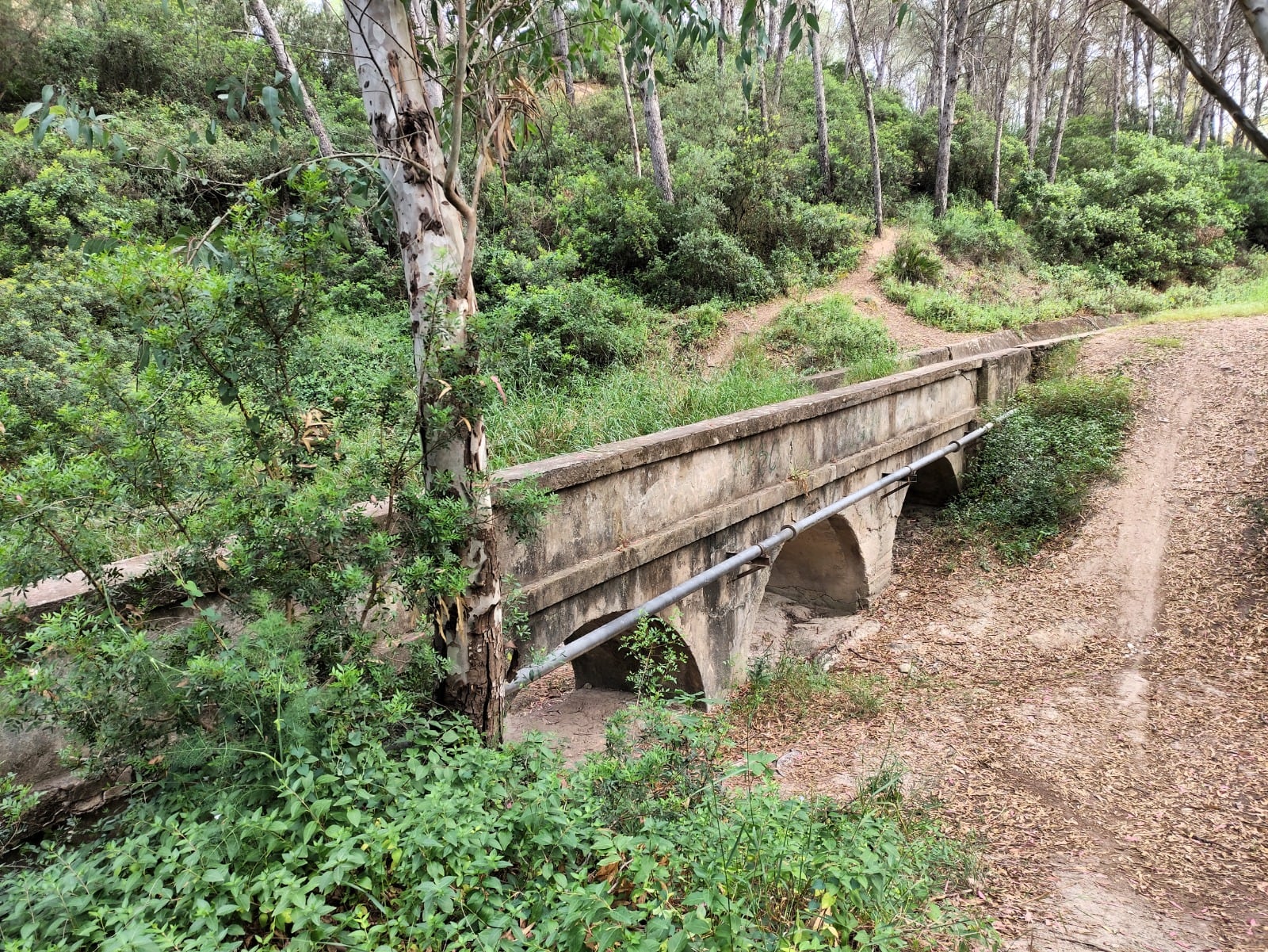 Recorrido por el parque de &quot;Las Aguilillas&quot;