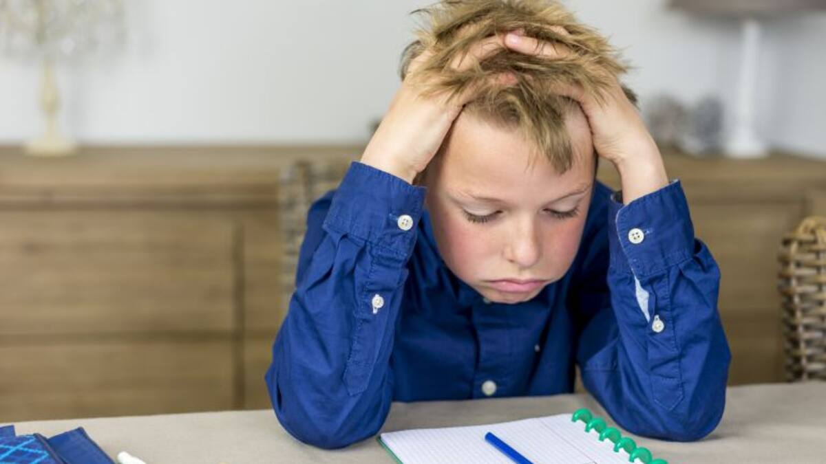 Ciudadanos pide a la Junta que limite los deberes escolares en Primaria