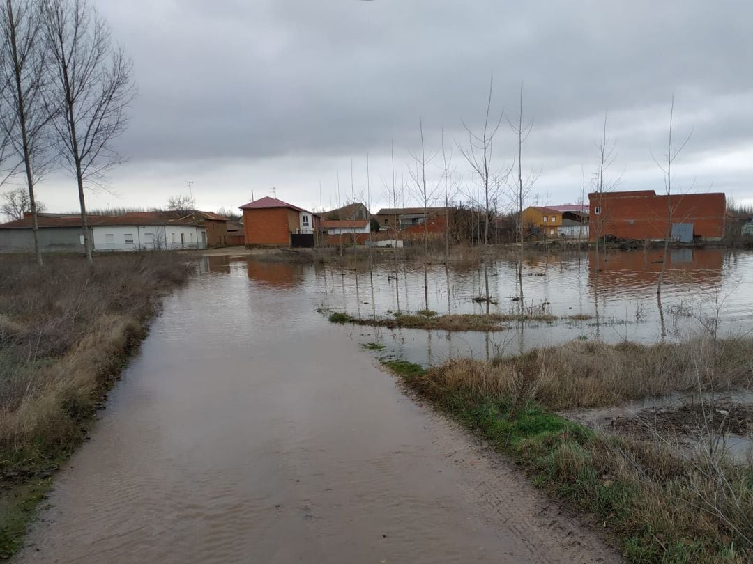 El río Órbigo desbordado en la localidad de Vecilla de la Polvorosa