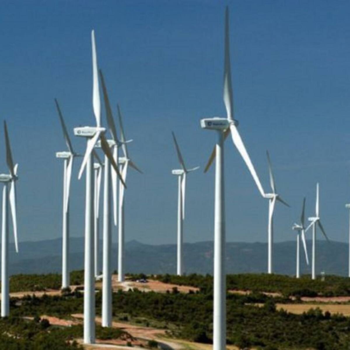 Lucha contra gigantes en la provincia de Burgos