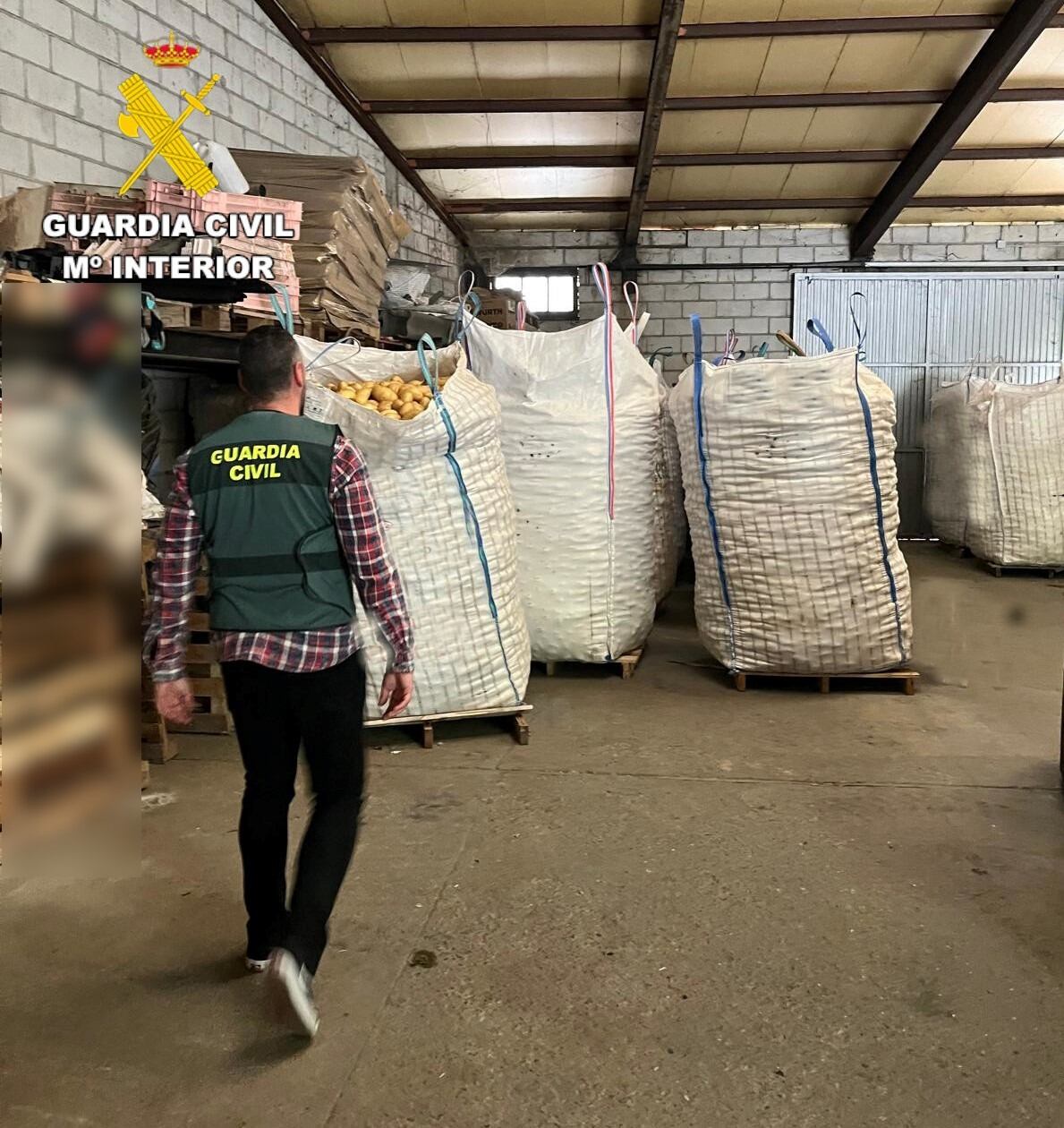 Patatas recuperadas por la Guardia Civil